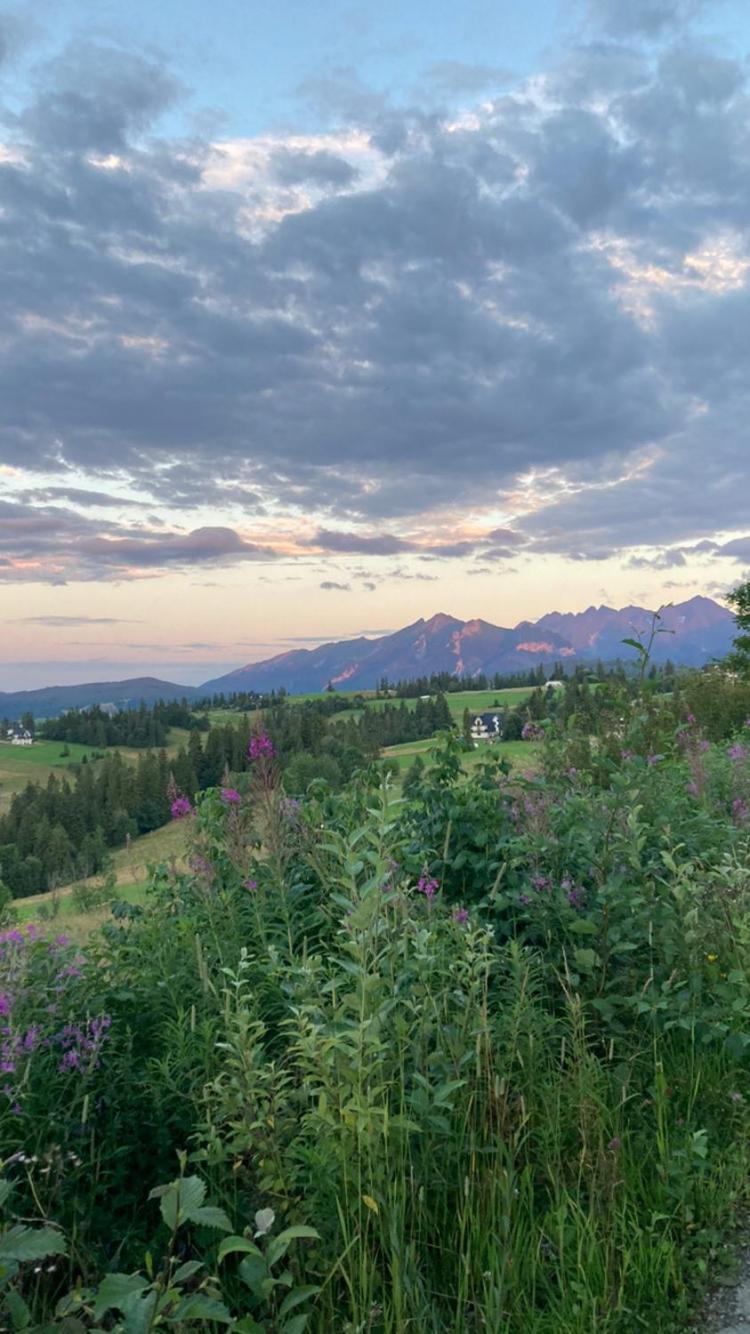 Przy Lesie Villa Bukowina Tatrzańska Exteriör bild